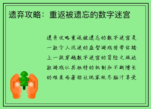 遗弃攻略：重返被遗忘的数字迷宫